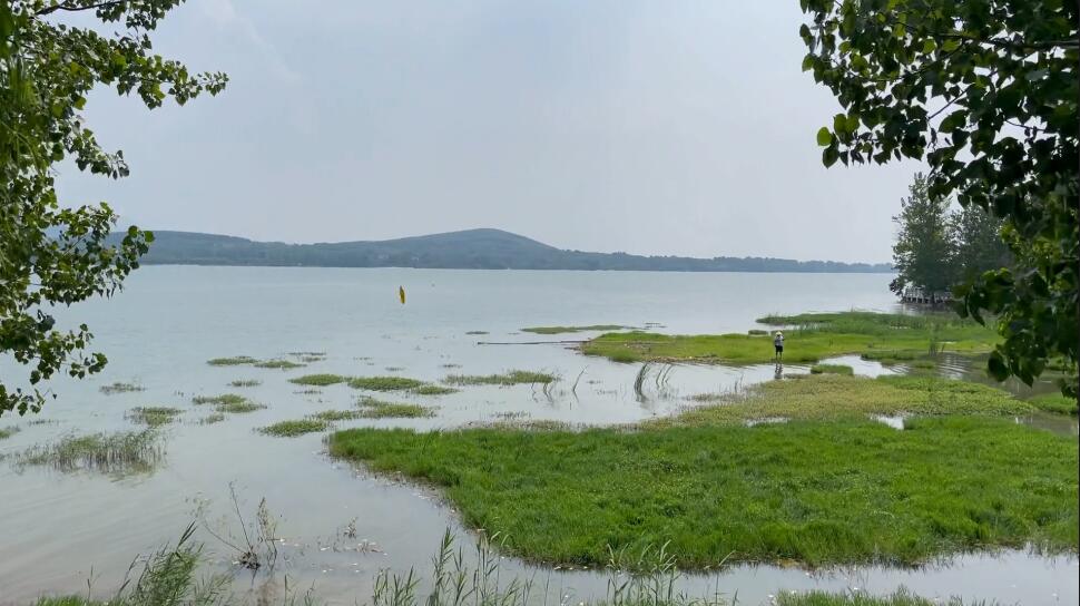 贵州黔南州景点:茂兰野生珍稀植物园景点介绍1