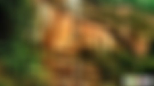 贵州遵义景点:丙安古镇摩岩石刻景点介绍1