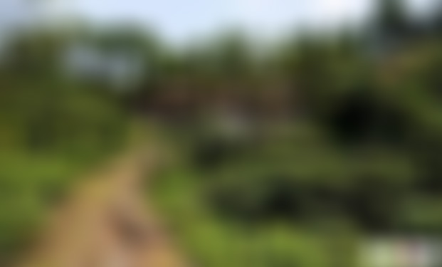 贵州六盘水景点:妥乐龙溪轩景点介绍1