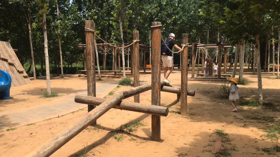 河南郑州景区郑州树木园景点介绍1