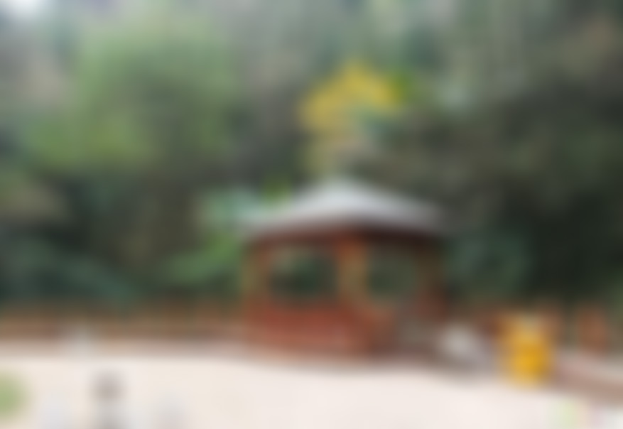 贵州遵义景点:丙安古镇欢喜滩石桥景点介绍1