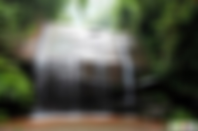 贵州遵义景点:红石野谷迎宾瀑景点介绍1