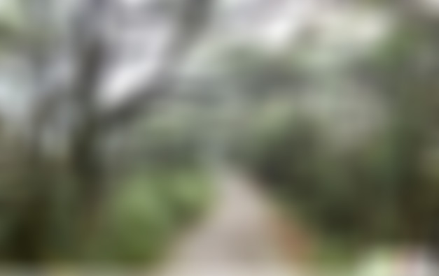 贵州黔西南景点:三望坪上马场景点介绍1