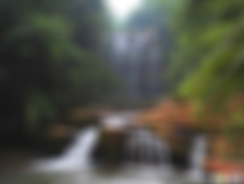 贵州遵义景点:中国侏罗纪公园大水沟景点介绍1