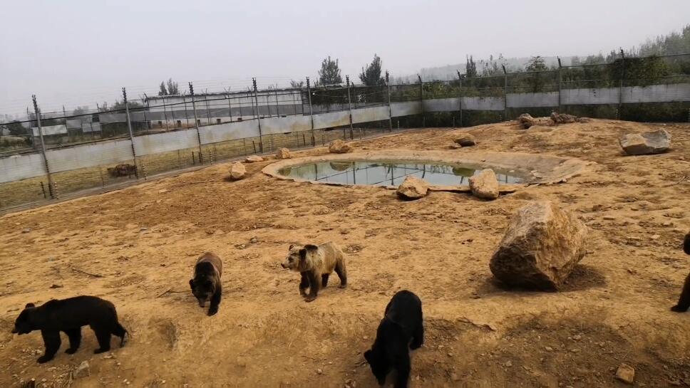 河南洛阳景区万安山野生动物园景点介绍1