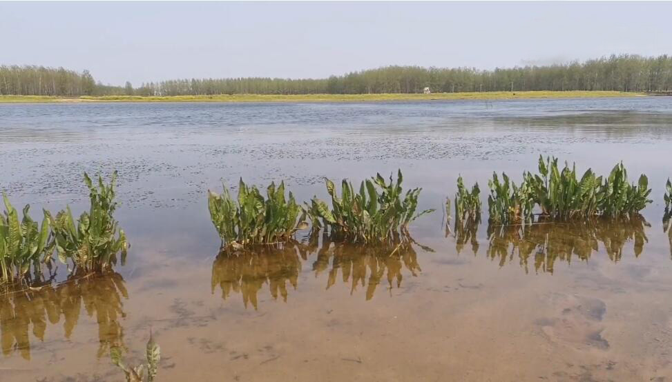 河南郑州景区天健湖公园景点介绍1