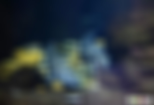 贵州遵义景点:云门囤大鲵洞景点介绍1