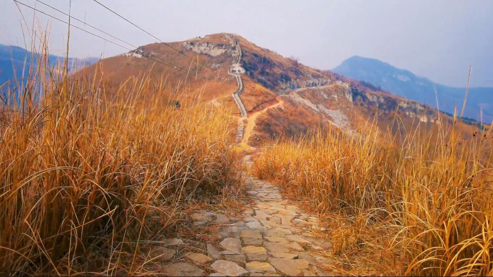 河南洛阳景区黄金大草原景点介绍1