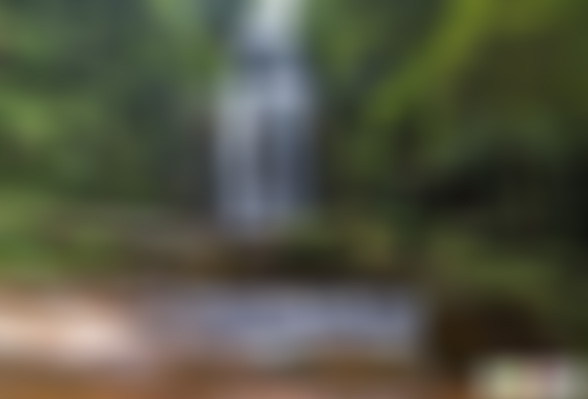 贵州遵义景点:燕子岩瀑布景点介绍1