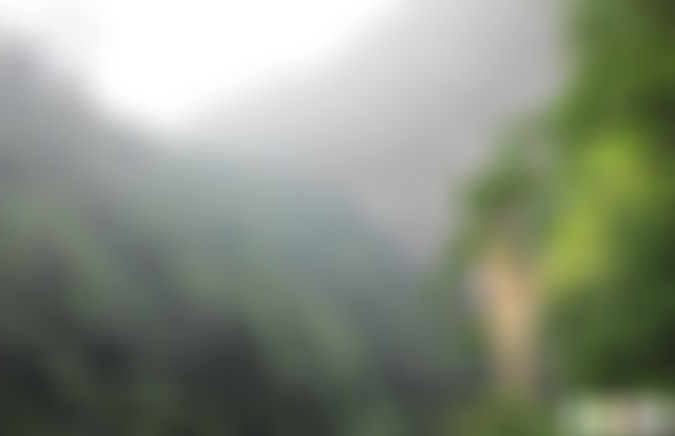 贵州黔南州景点:大七孔顶天杉景区景点介绍1