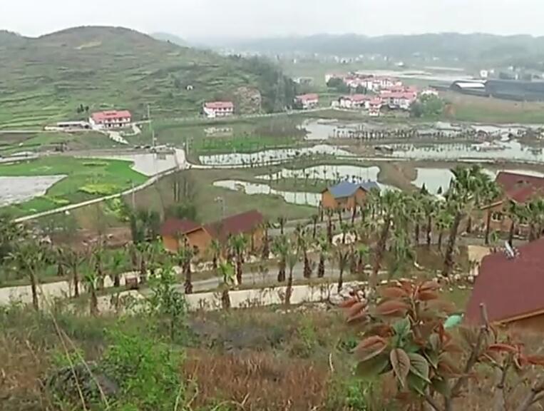 贵州遵义景点:台湾邨博览园景点介绍1