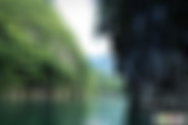 贵州毕节景点:金洲园度假村景点介绍1