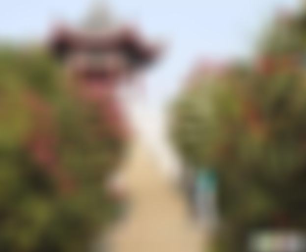 贵州毕节景点:百里杜鹃云台岭景点介绍1