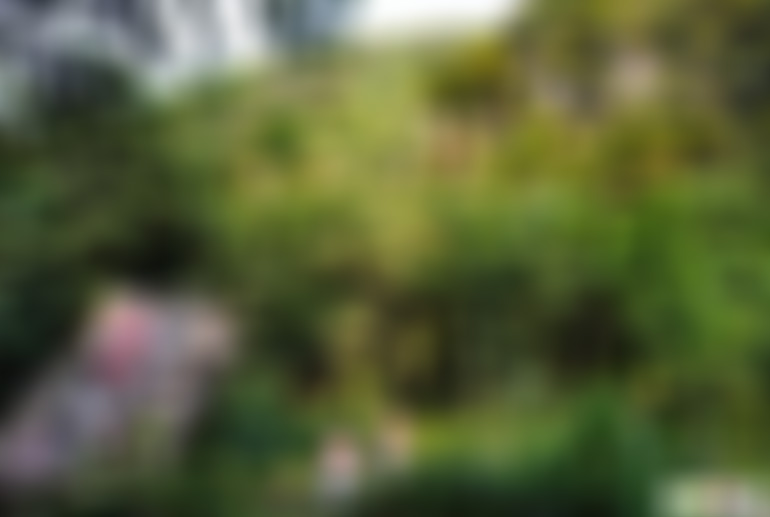 贵州安顺景点:龙宫群芳谷(药谷)景点介绍1