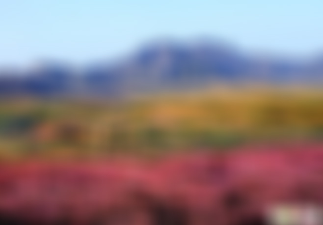 贵州毕节景点:撞钟山景区景点介绍1