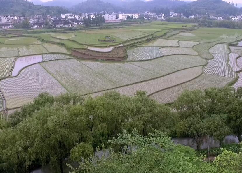 贵州毕节景点:柳岸水乡旅游区景点介绍1