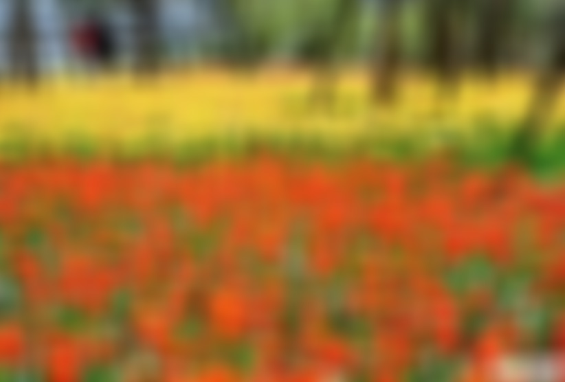 贵州贵阳景点:天河潭香粑车景区景点介绍1