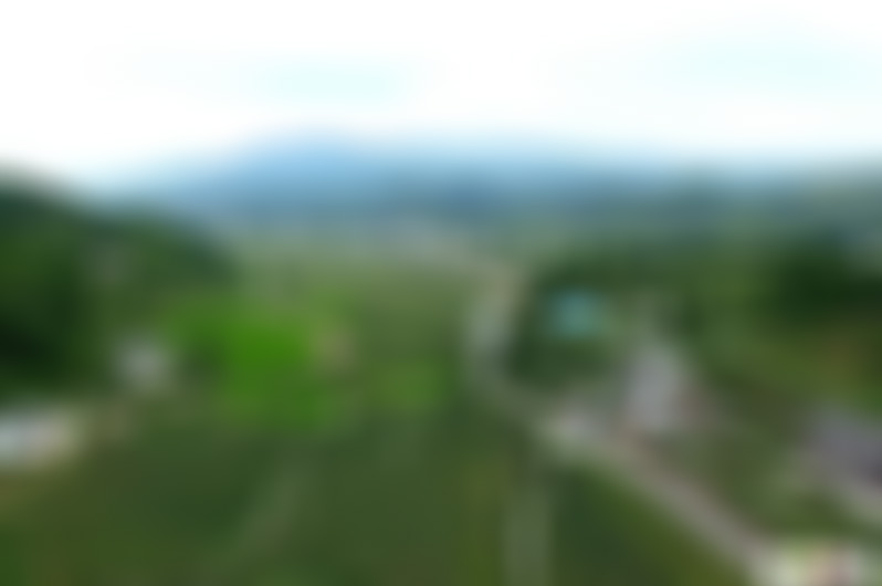 贵州毕节景点:韦寨乡村休闲旅游区景点介绍1