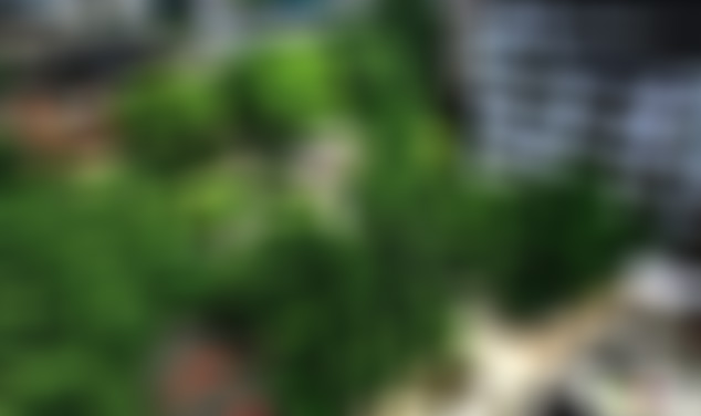 贵州铜仁景点:府文庙景点介绍1