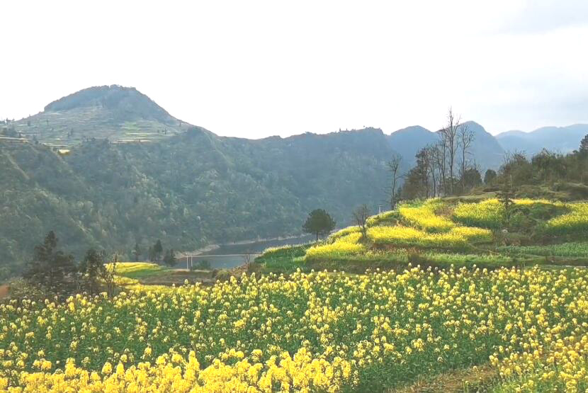 贵州黔东南景点:三棵树季刀苗寨景点介绍1