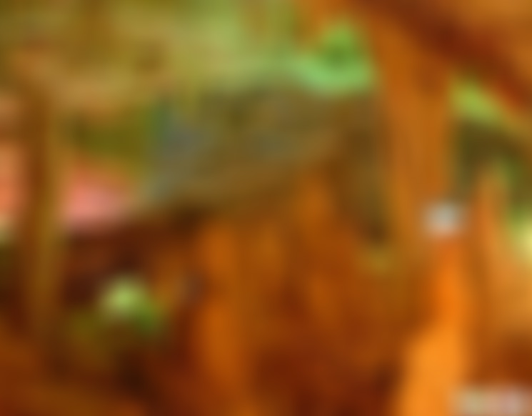 贵州遵义景点:中国侏罗纪公园景点介绍1