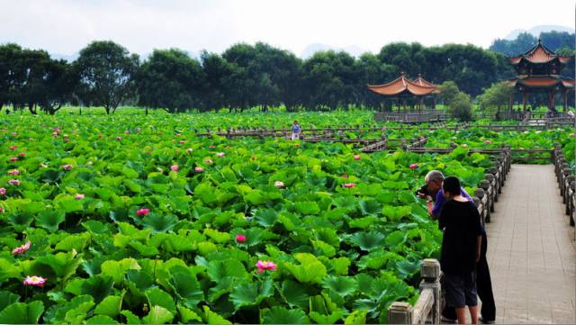 贵州黔西南景点:招堤国家湿地公园景点介绍2