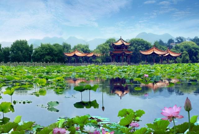 贵州黔西南景点:招堤国家湿地公园景点介绍3