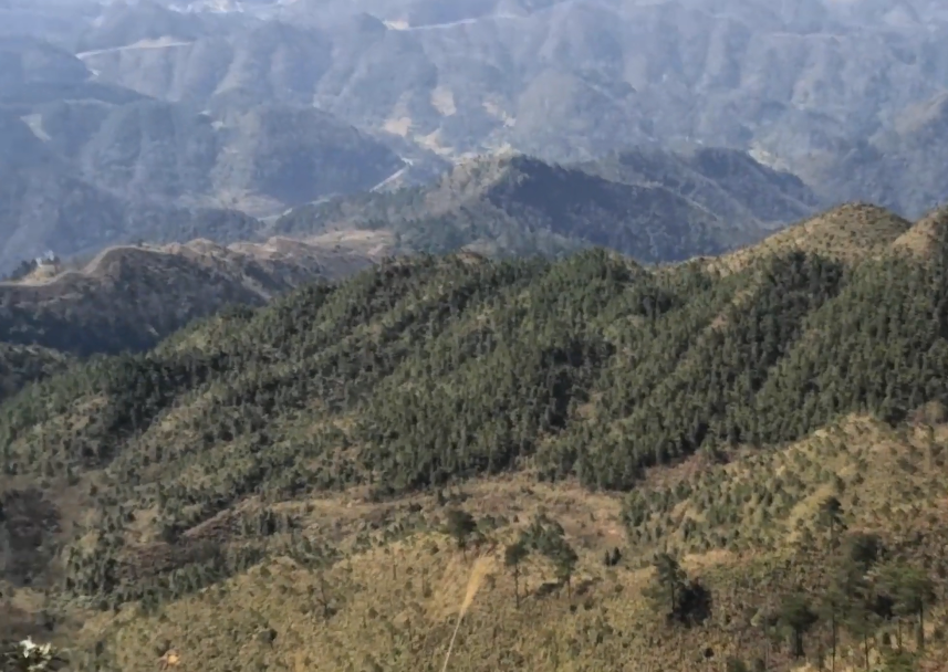 贵州黔南州景点:小七孔水上森林景点介绍1