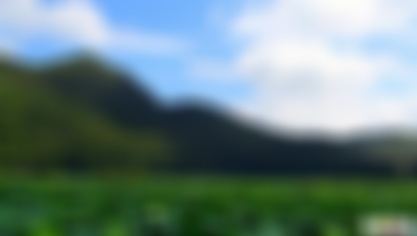 贵州黔南州景点:小七孔拉雅山瀑布景点介绍1