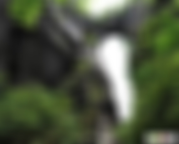 贵州遵义景点:市坪天生桥景区景点介绍1