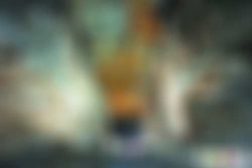 贵州安顺景点:格凸河苗厅景点介绍1