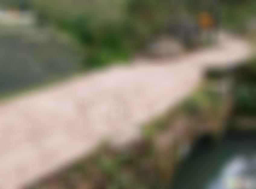 贵州毕节景点:织金洞灵芝山景点介绍1