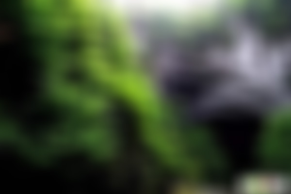 贵州黔南州景点:小七孔涵碧潭(七孔塘)景点介绍1