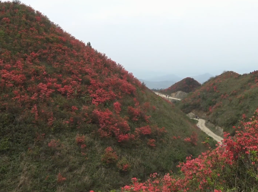 贵州铜仁景点:腊尔山生态文化旅游景区景点介绍1