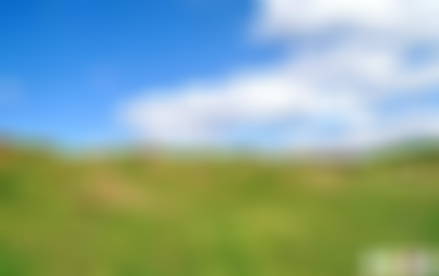 贵州毕节景点:灼甫万亩草场景点介绍1