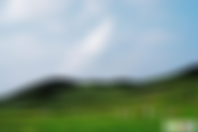 贵州遵义景点:百面水喀斯特博览园景点介绍1