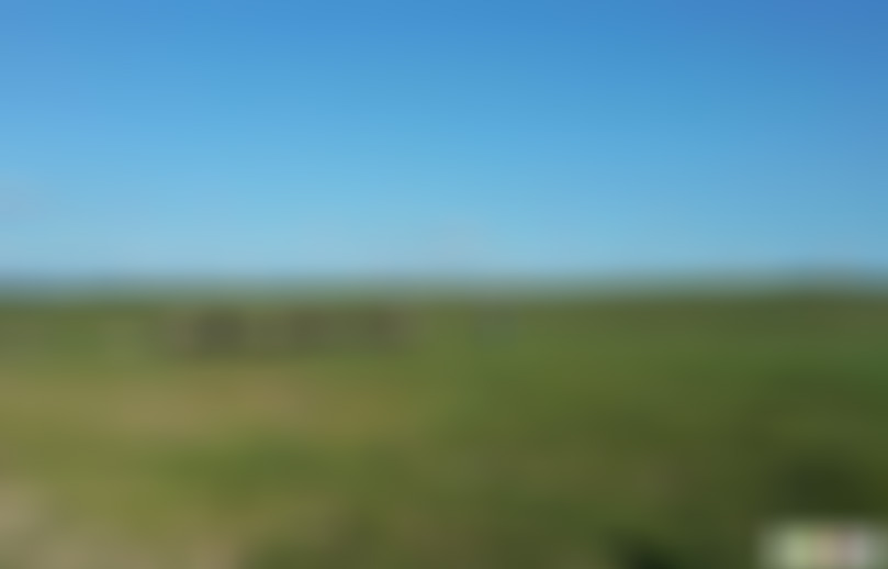 贵州黔西南景点:三望坪草原景点介绍1