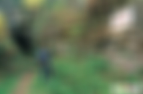 贵州毕节景点:观音洞遗址景点介绍1