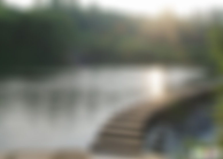 贵州毕节景点:平山国家森林公园景点介绍1