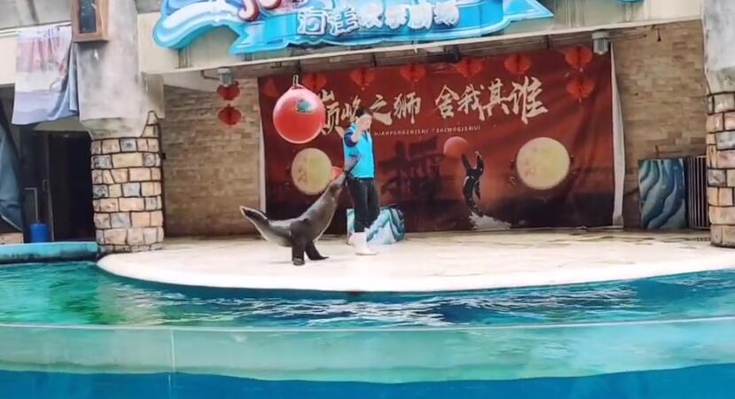 贵州遵义景点:遵义自游港海洋世界景点介绍1