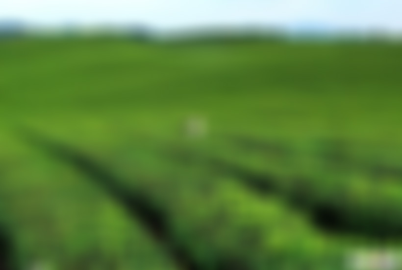 贵州遵义景点:茶海休闲度假旅游景区景点介绍1