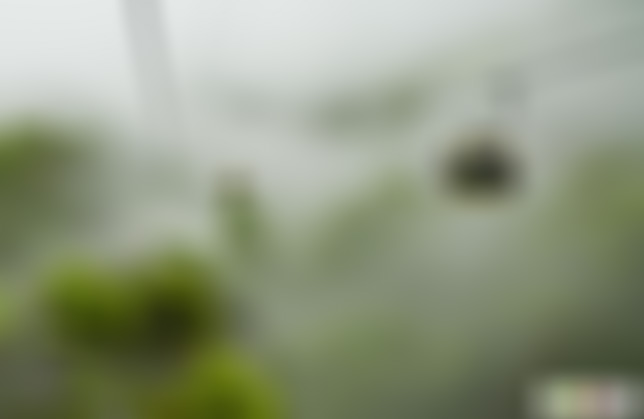 贵州铜仁景点:茶花泉景区(国家3A级)景点介绍1