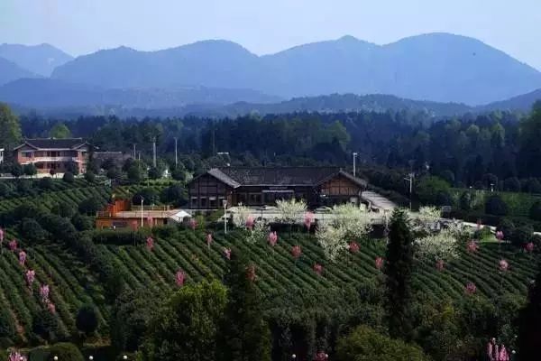 贵州黔西南景点:兴义国家地质公园博物馆景点介绍1