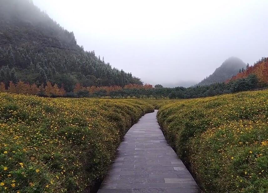 贵州黔西南景点:奇香园景区(国家2A级)景点介绍1