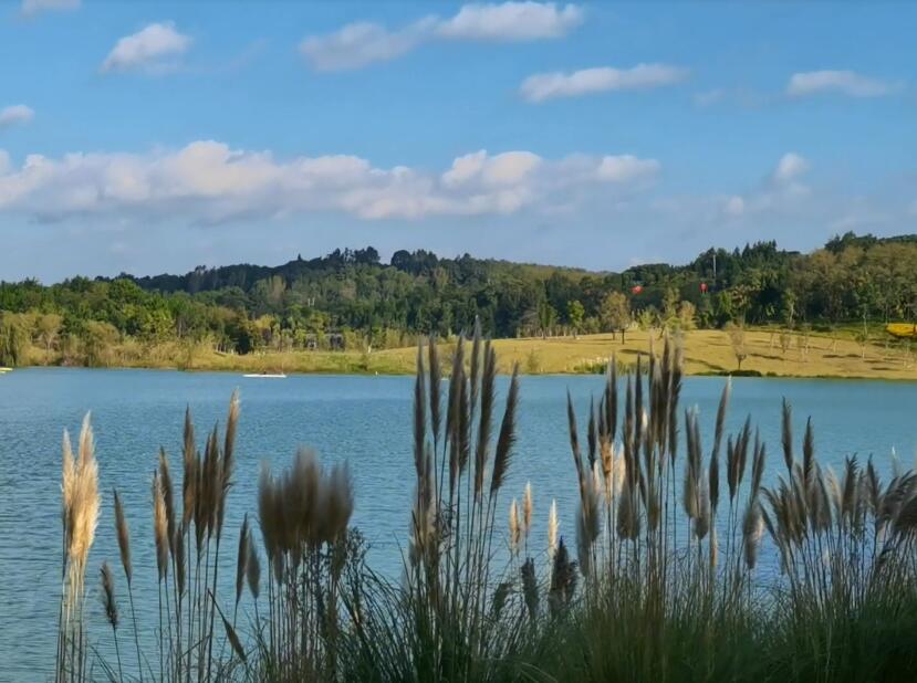 贵州贵阳景点:保利国际温泉度假区景点介绍1