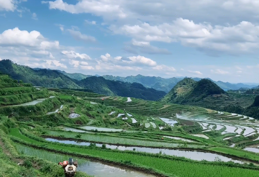 贵州黔东南景点:高要梯田景点介绍1