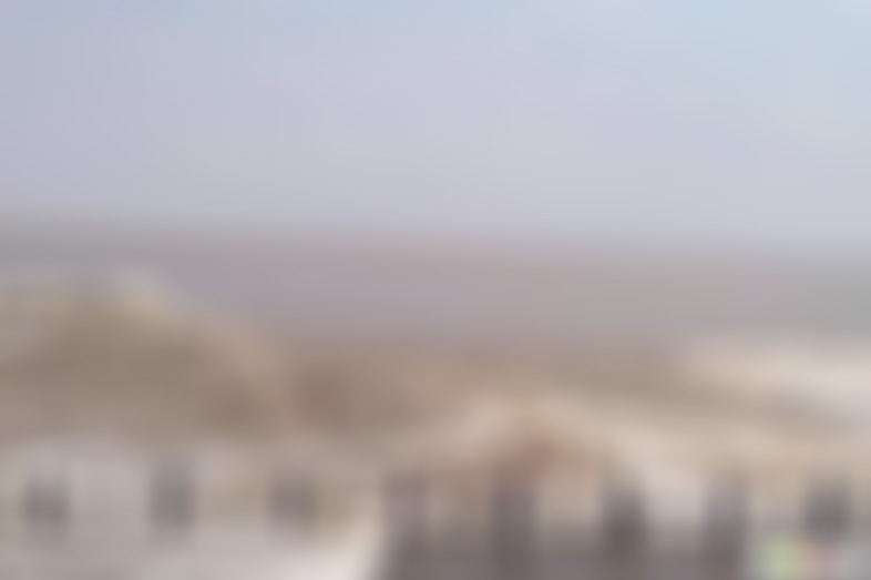 浙江杭州神龙川御茶园景点介绍1