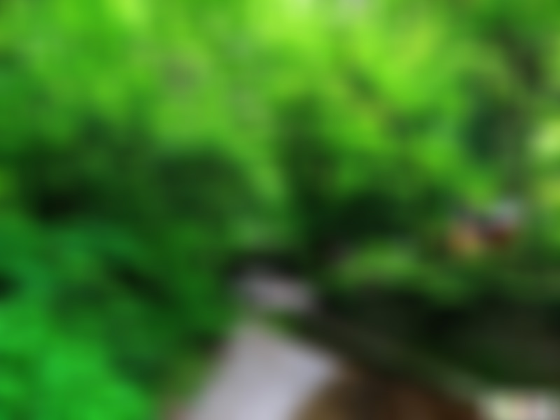 浙江台州天湖经为桥景点介绍1