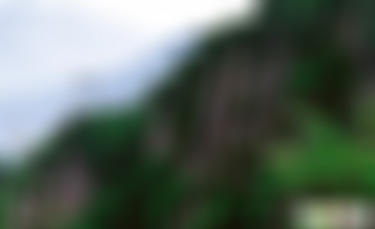 福建泉州南石沪公园景点介绍1