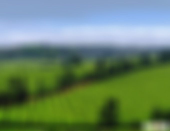 浙江金华兰湖茶盈新翠景区景点介绍1